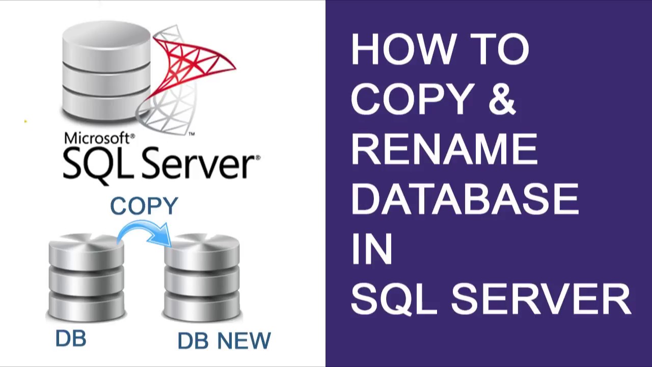 SQL Scripting